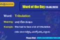 Word of the Day (15.08.2023)