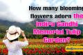 How many blooming flowers adorn the Indira Gandhi Memorial Tulip Garden?