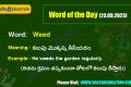 Word of the Day (23.09.2023), Sakshi education, English vocabulary 