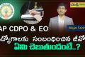 ap cdpo and eo jobs videos 2023