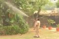 Zoo workers taking care of greenery for animal safety, Preventing pollution impact: Zoo staff watering trees and plants, Delhi Zoo uses water sprinklers to prevent air pollution, Zoo staff watering plants to protect animals from pollution, 