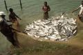 Uttar Pradesh Clinches Top Honors as Best State in Inland Fisheries
