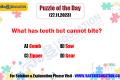 Puzzle of the Day (27.11.2023), sakshi education puzzles,Brain Teasers