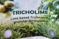 The Indian Institute of Spices Research (IISR) Kozhikode has successfully developed a new granular lime-based Trichoderma formulation
