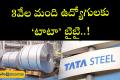 Tata Steel jobs news      Google Layoffs News    Amazon Layoffs Announcement