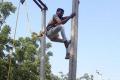 Job Opportunity for Junior Linemen in Karimnagar   Join Us to Solve Power Supply Challenges in Karimnagar   Pole climbing tests for JLM posts recruitment   Junior Linemen Recruitment in Karimnagar