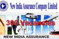Eligibility Criteria for New India Assurance Recruitment   Important Details for New India Assurance Notification  New India Assurance Recruitment 2024   New India Assurance Recruitment