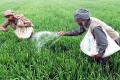 Union Cabinet Approves Rs 24,420 Crore Fertilizer Subsidy for Farmers