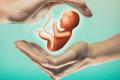 IIT Madras Researchers   Pregnancy Care and Monitoring   AI Technology for Gestational Age Prediction  IIT Madras researchers develop AI model to determine the age of a foetus