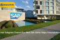 Become a Business Processes Consultant in SAP 