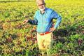 Degree College Lecturer turns as a Farmer to cultivate crops   Benakatti village farmer, Professor Hanuman, balancing agriculture with his job for profits.