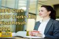 IBPS Clerk Final Result 2024  IBPS Clerks Recruitment   Final Results Announcement  