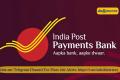 New Delhi  IPPB Recruitment 2024  India Post Payments Bank Limited  Contract basis employment opportunity  