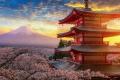 Japan tourist attractions  Japan Rolls Out eVisa System For Indian Tourists   E-visa application form  