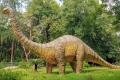 Argentine Scientists Unveil Discovery of Speedy 90 Million Year Old Herbivore Dinosaur