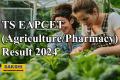 TS EAPCET Agriculture/Pharmacy Result 2024 Available