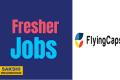 Flying Caps Technologies Private Limited careers
