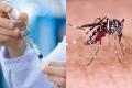 Dengue Vaccine approved by World Health Organization