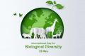 International Day of Biodiversity 2024  date and theme   Global unity for biodiversity preservation