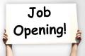 Jaganmohan Reddy government  Job Opportunities in Parvathipuram Manyam District   Job opportunities  