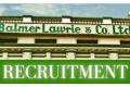 Junior Officer posts in Balmer Lawrie Co Ltd  Ministry of Petroleum and Natural Gas