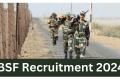 Assistant Sub Inspector in BSF  Applications for various posts in BSF on direct recruitment basis  BSF Recruitment Notification 2024  