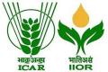 IIOR Hyderabad  ICAR Indian Institute of Oilseeds Research  unior Research Fellow job advertisement  Applications for junior research fellow posts at ICAR-IIOR  Junior Research Fellow recruitment notice  