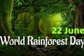 Empowering the world to protect our rainforests as the theme of World Rainforest Day 2024
