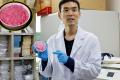 South Korea scientists invents Fortified food
