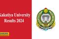Kakatiya University MBA DM SDLCE Results 2023