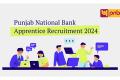 Bank job opportunity at PNB  Banking apprenticeship opportunity  Career opportunity at PNB Apply for PNB apprenticeship  Applications for Apprentice Posts at Punjab National Bank in New Delhi  PNB apprenticeship recruitment  