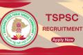 Legal profession contract job  Career opportunity at TSPSC  Hyderabad legal job vacancy  TSPSC Hyderabad Telangana State Public Service Commission Recruitment 2024   Lawyer application opportunity  