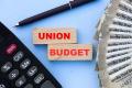 Union Budget 2024: ఆర్థిక సర్వే, బడ్జెట్‌ మధ్య తేడా ఏమిటంటే  Union Minister Nirmala Sitharaman announcing the release of the Union Economic and Social Survey 2024-25  Announcement of the Union Budget 2024 on July 23  