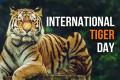 International Tiger Day Date and history  International Tiger Day logo with tiger stripes and date July 29  Tiger conservation awareness  