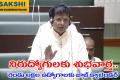 Job calendar for two lakh jobs   Minister Sridhar Babu announces upcoming job calendar in Telangana Minister Sridhar Babu discusses job opportunities in Telangana Assembly  Telangana Minister announces job calendar and two lakh job openings  