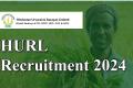 HURL Managerial Posts Recruitment 2024 Notification 