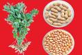 Three New Crop Varieties Entrants into the Market 