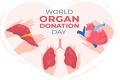 World Organ Donation Day History and Significance 