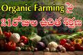 Free Training organic farming