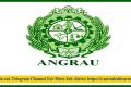 ANGRAU Project Associate Latest Notification 2024