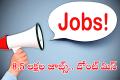 Meesho Hires 8.5 Lakh Jobs Meesho Hires 8.5 Lakh Seasonal Staff for Festive Season