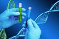 Questions and benefits on DNA finger printing in science and technology