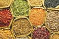 List of Top 10 Pulses Producing Countries in the World