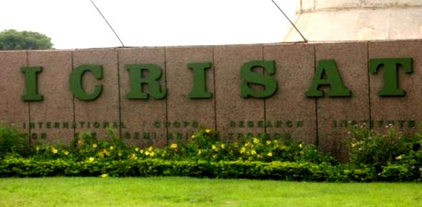 icrisat management information systems specialist