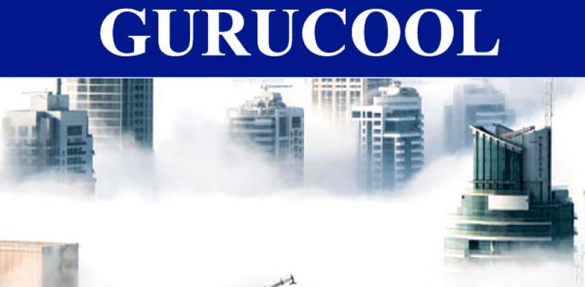 Gurucool Services Customer Sales Associate jobs
