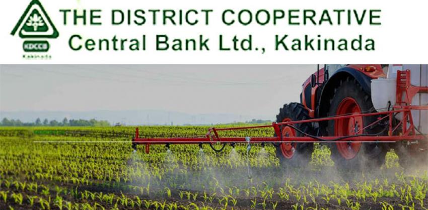 DCCB Kakinada Staff Assistant or Clerks