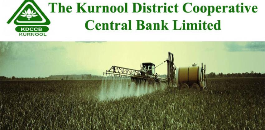 DCCB Kurnool Staff Assistant or Clerks