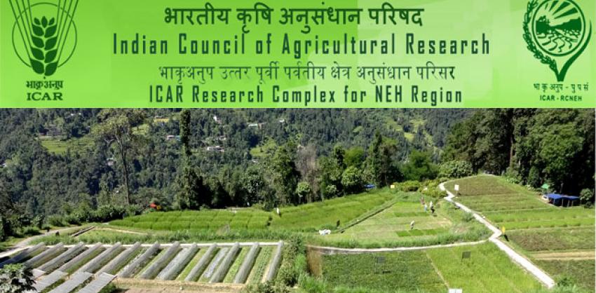 ICAR Research Complex for NEH Region Project Assistant
