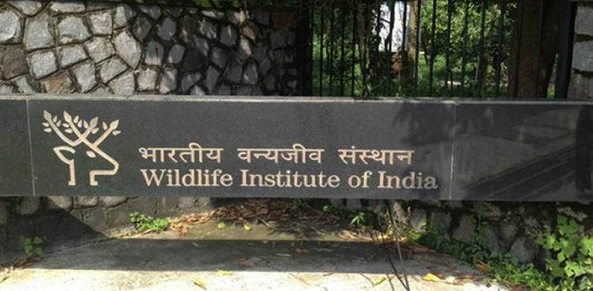 Wildlife Institute of India Dehradun