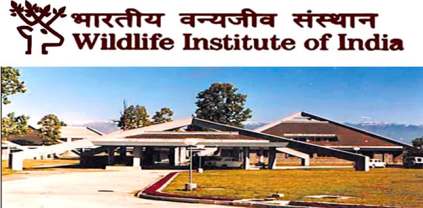 Wildlife Institute of India Project Assistant